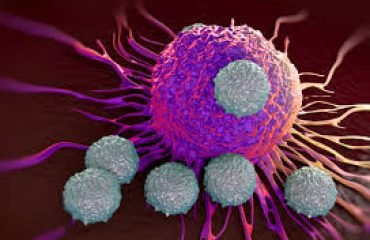 immunoterapi-1
