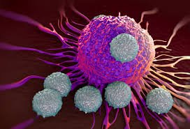 immunoterapi-1